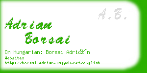 adrian borsai business card